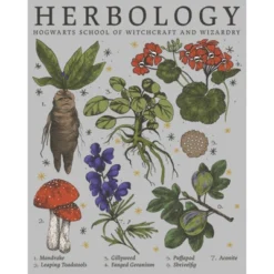 Women's Harry Potter Hogwarts Herbology T-Shirt