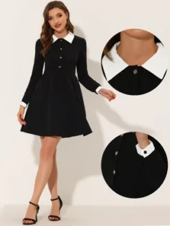 Allegra K Women's Vintage Peter Pan Collar Contrast Half Placket Long Sleeve A-Line Swing Short Dress