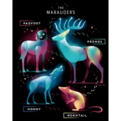 Junior's Harry Potter The Marauder Animals T-Shirt