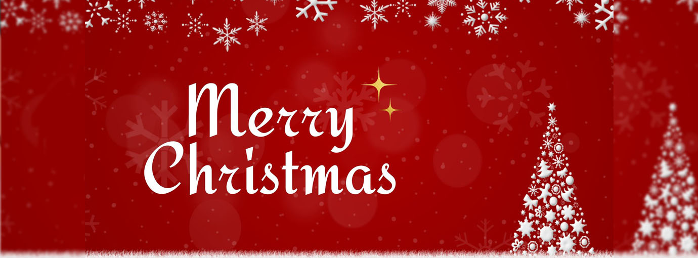 Dresses City Shop -Dresses City Shop 87